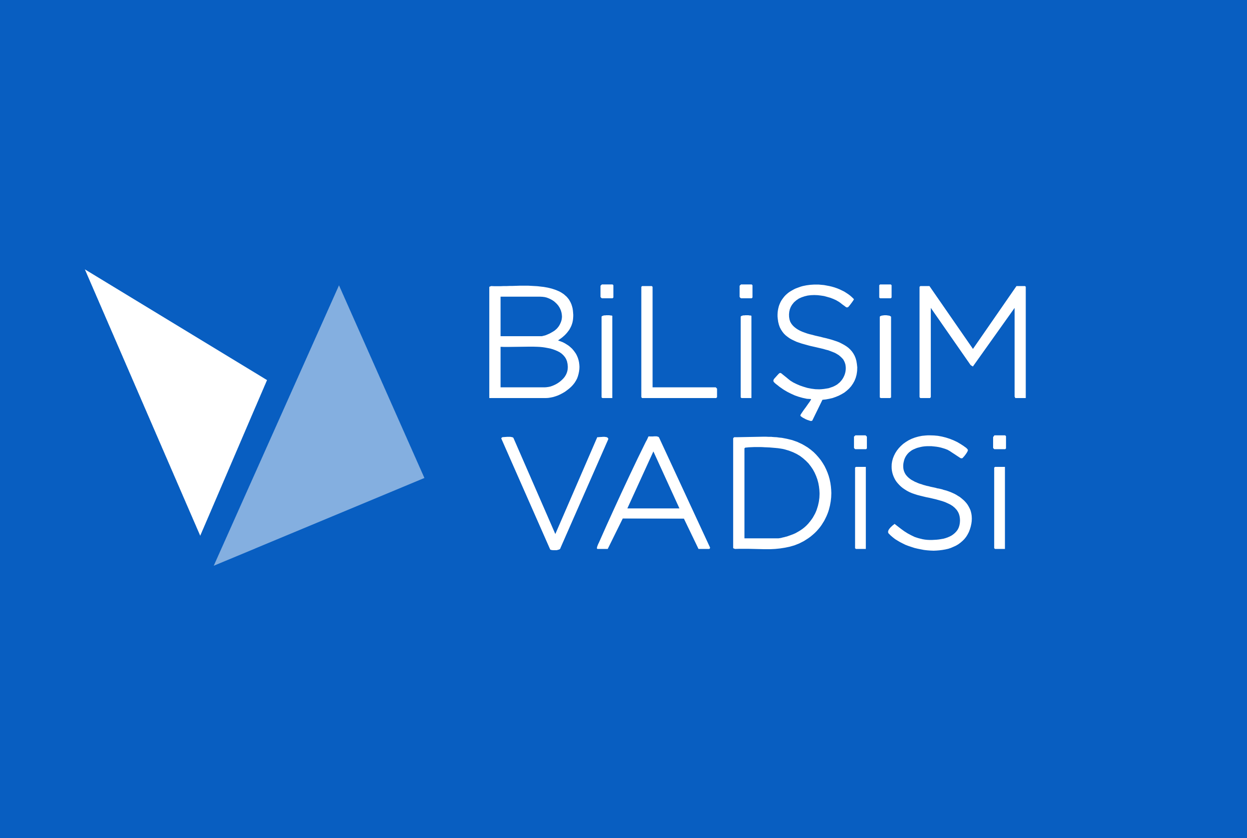 Bilişim Vadisi Logosu